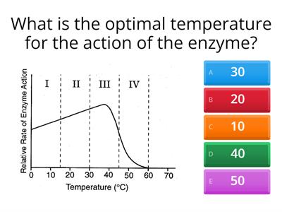 Enzymes Graph Practice
