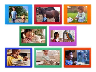 Kid's Box 1 Unit 6 Look after pets (wash, brush, feed, walk)