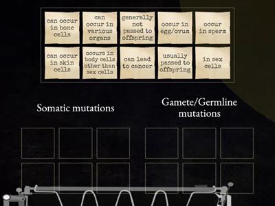 Somatic vs Germline Mutations