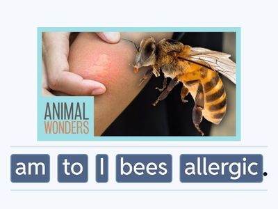 Get to the top 3, 2b vocabulary. 