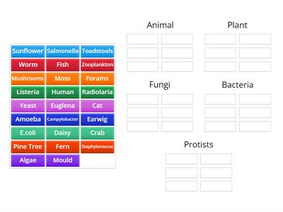 Kingdoms of Life