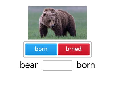   Irregular Verbs part  2