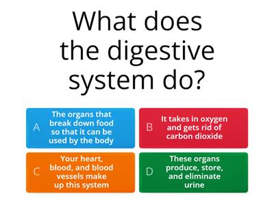 Digestive System