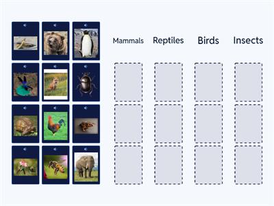  SM2 Unit 2 Animal families