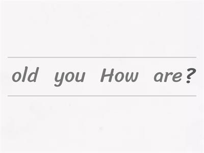 Present simple - questions (Yes/No + WH) 4