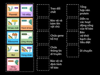 Bài tế bào - khởi động