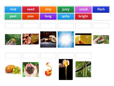 Fruits extra vocabulary