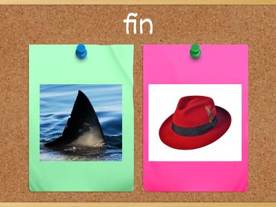 CVC word/picture match