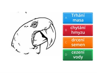 HLAVY A NOHY PTÁKŮ