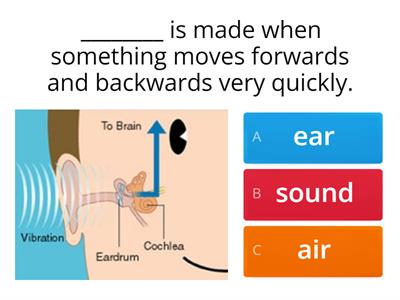 Sound Quiz for Grade 5
