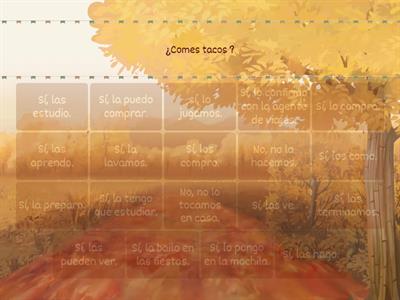 Pronombres de objeto directo 