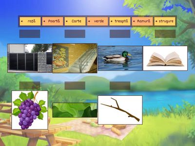 Ascultă, pronunță și potrivește 