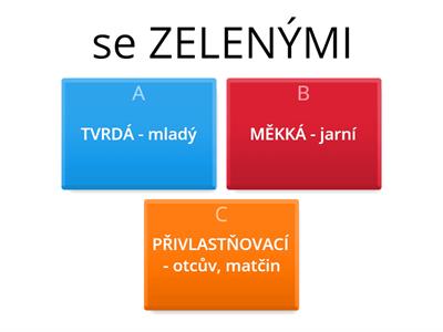 DRUHY PŘÍDAVNÝCH JMEN