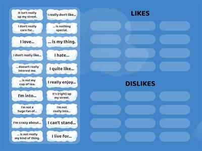 Likes and dislikes