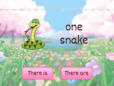 There is/there are