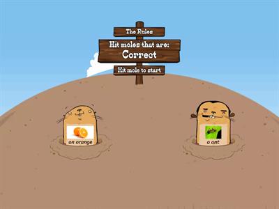 Indefinite article: "a" or "an"