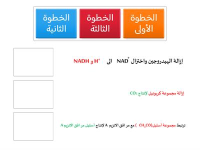 ترتيب خطوات أكسدة البيروفيت