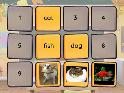 Pets, little steps 1 