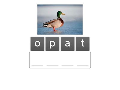 Ordenar las palabras 