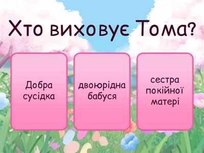 Пригоди Тома Сойєра та Гекльберрі Фінна