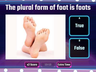 Singular and Plural Noun