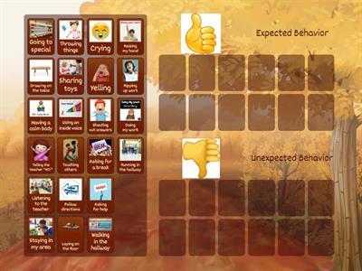 Expected and Unexpected Behaviors