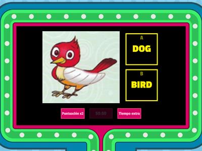 Animals and their Abilities