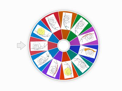 Bestandteile Schnecke