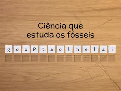  Fósseis