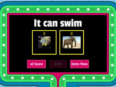 2.4.CAN / CANT ANIMALS