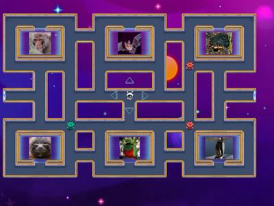 Maze Animal Chase by Tatum