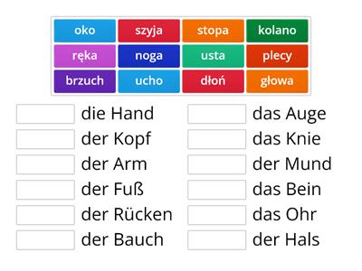 Części ciała. Połącz w pary. Niemiecki