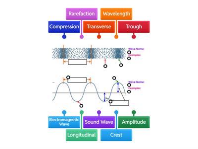 Label Parts of Waves