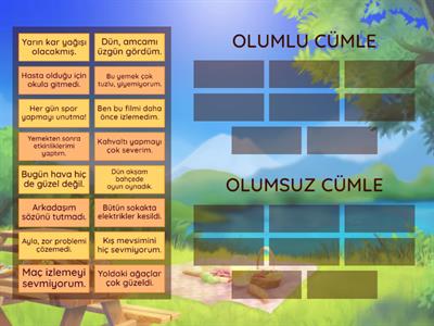 OLUMLU-OLUMSUZ CÜMLE