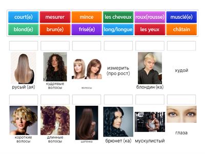 La description physique