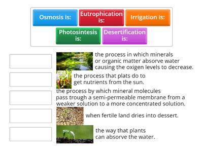 match the words with the definitions