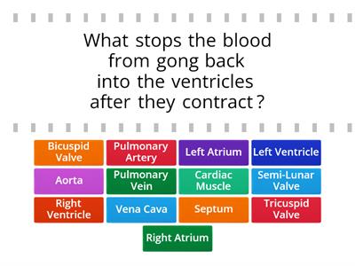 The Heart & Blood Vessels