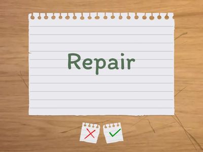 Name that Synonym-AMSLP