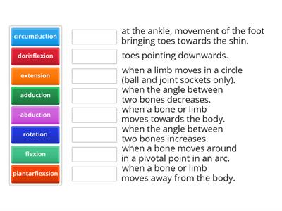 Body Movements