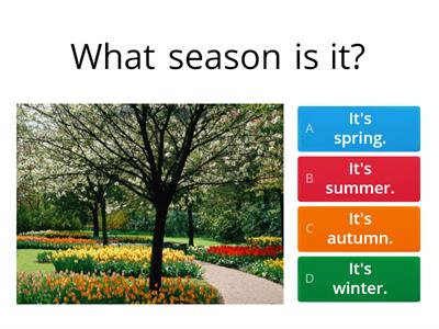 4 seasons