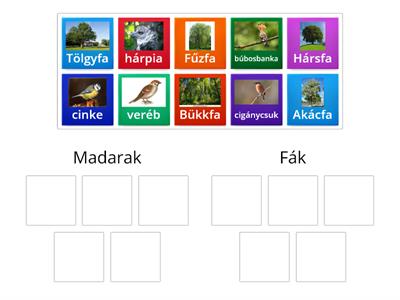 Madarak és fák napja