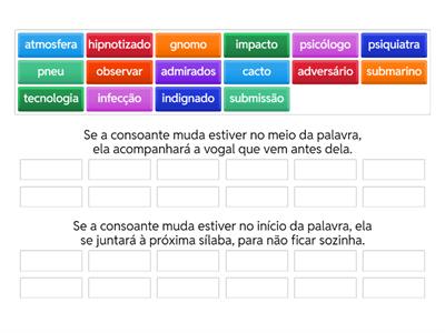 Consoante Muda - Direcione as palavras ao seu grupo correspondente.