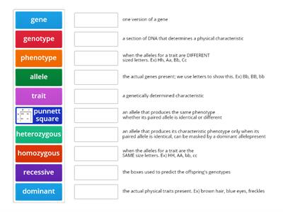 Genetics Vocabulary