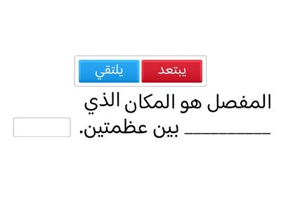 الهيكل العظمي