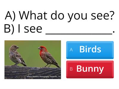 Spring vs Winter Vocab