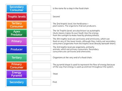 Unit 4 Biosphere (Energy Pyramid) 
