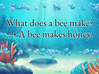 GE2U6L7 Wh-questions with do/does