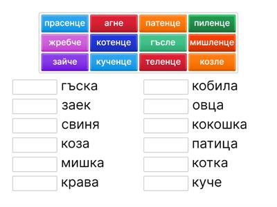 Открийте малките на животните