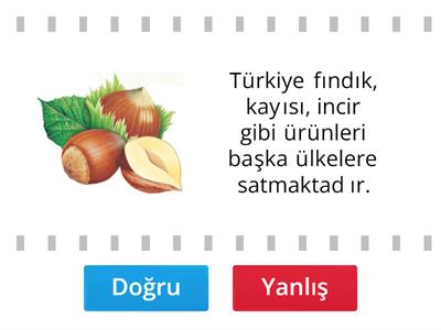 ito 5.sınıf Küresel bağlantılar ve etkin vatandaşlık  