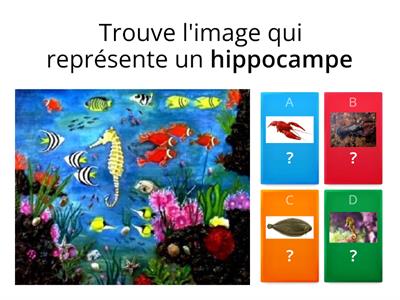 Quiz pour apprendre la faune de la mer - Niveau Maternelle